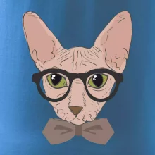 Hipster sphynx