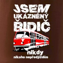 Jsem ukázněný řidič - tramvaj