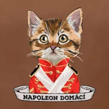 Napoleon domácí kočka