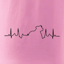 Stafordšírsky bulteriér EKG