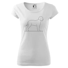 Lagotto romagnolo stojící