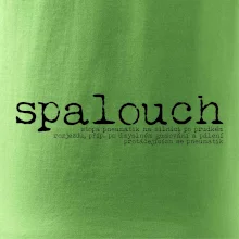 Čeština 2.0 - spalouch