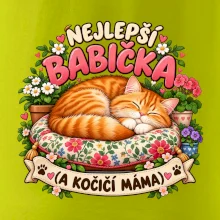 Nejlepší babička a kočičí máma spící zrzavý kocour