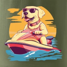 Zlatý retrívr na vodním skútru