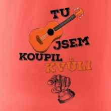 Tu kytaru jsem koupil kvůli tobě