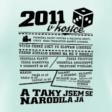 2011 v kostce