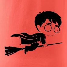 Harry obrázek na koštěti
