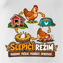 Slepičí režim od krmení po sběr vajec