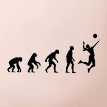 Evoluce volejbal culík