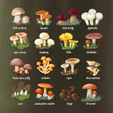 Atlas hub - triko s houbami