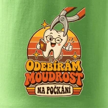 Odebírám moudrost na počkání