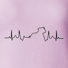 Stafordšírsky bulteriér EKG