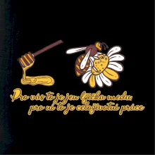 Včela - lžička medu