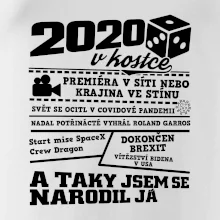 2020 v kostce