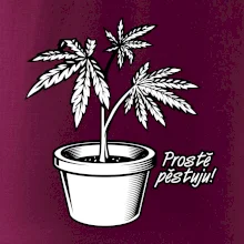 Konopi prostě pěstuju