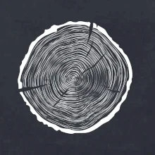 Letokruhy 55 bez věku