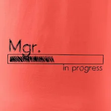 In progress titul Mgr.  magistr / magistra