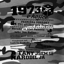 1973 v kostce
