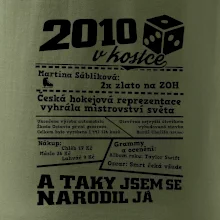 2010 v kostce