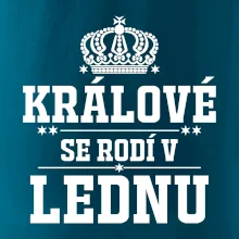 Králové se rodí v lednu