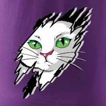 Kočka v roztrženém triku