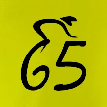 Cyklista slaví pětašedesátku (65)