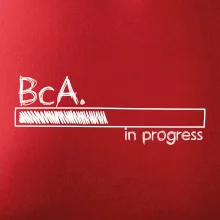 In progress  titul BcA. bakalář / bakalářka umění