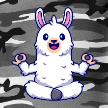 Yoga meditace - lama