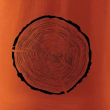 Letokruhy 60 bez věku