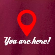 You are here