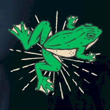 Žába zelená kreslená