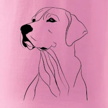 Labrador černá kresba