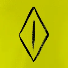 Dámské přirození hladce oholené