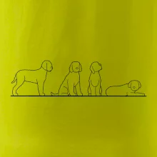 Lagotto romagnolo postavy linka