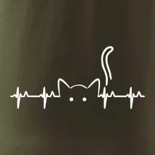 Kočka EKG Kočka EKG