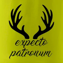 Harry - Expecto patronum