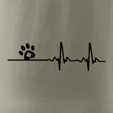Veterinář EKG