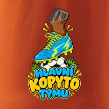 Hlavní kopyto týmu