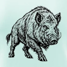 Zvířata Krkonoš – prase divoké