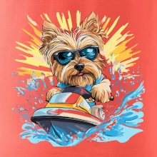 Yorkšírský teriér na vodním skútru