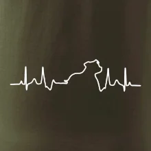 Stafordšírsky bulteriér EKG