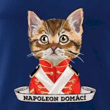 Napoleon domácí kočka