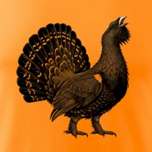 zvířata Beskyd - tetřev hlušec