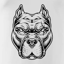 Americký stafordširský teriér hlava