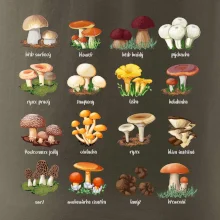 Atlas hub - triko s houbami