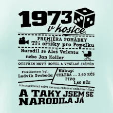1973 v kostce