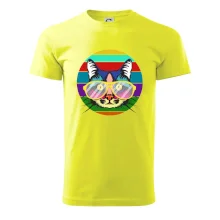 Kočka při barevném západu