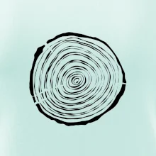 Letokruhy 15 bez věku