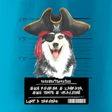 Lump a darebák husky