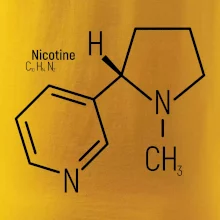 Molekulární struktura Nikotin